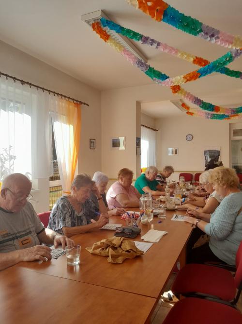 Fotografie- senioři při plnění úkolů 