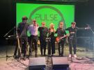 Pulse
