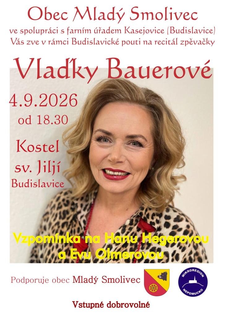 vystoupení zpěvačky