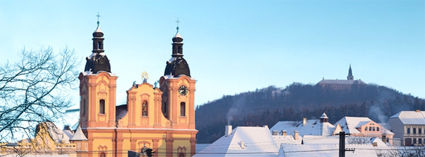 Pohled na město Nepomuk