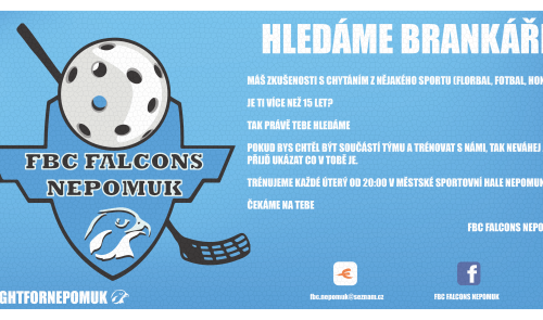 FBC Falcons Nepomuk hledá brankáře