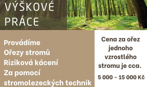 Riziková kácení a ořezy stromů