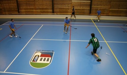 Městská sportovní hala
