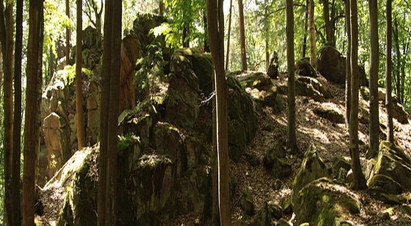 Přírodní park Kákov – Plánický hřeben