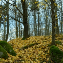 Potštejn