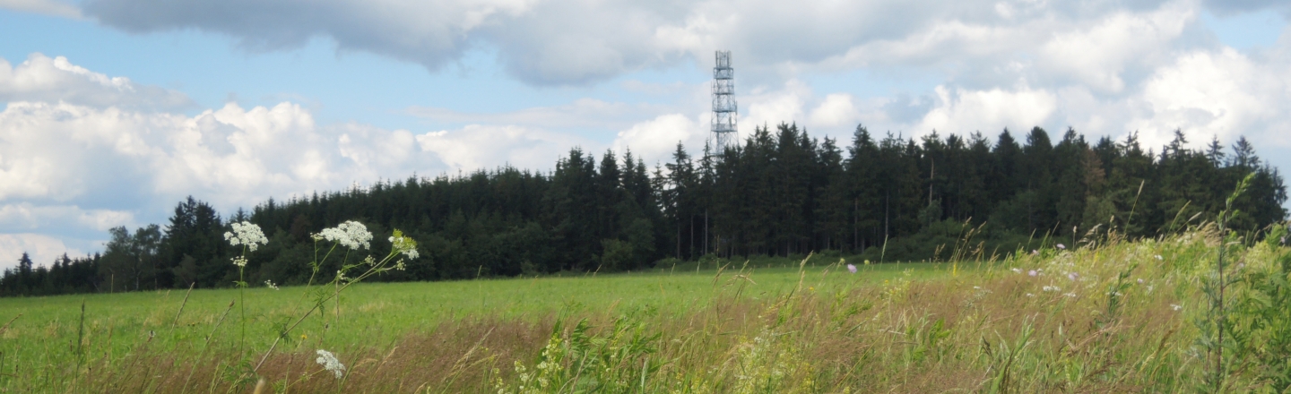 Aussichtsturm Na Skále - – Železný Újezd