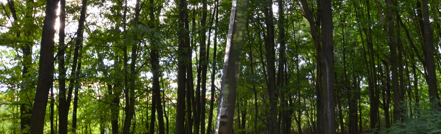 Nakloněný obelisk