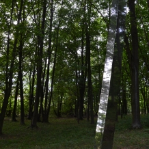 Obelisk na Dubči