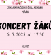 Koncert žáků ZUŠ Nepomuk