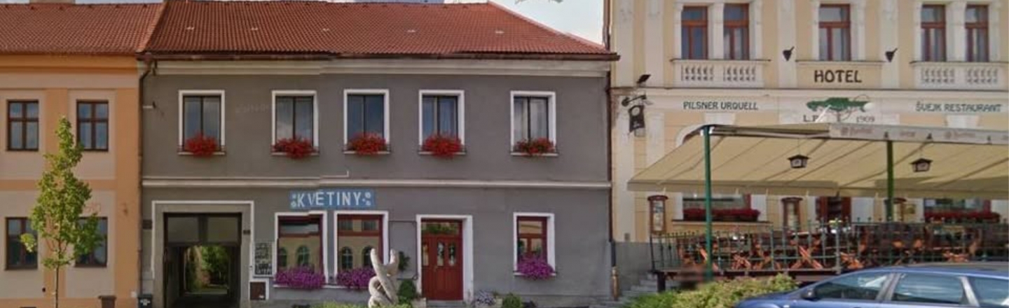 Květiny Kopretina Radová Helena