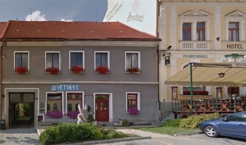 Květiny Kopretina Radová Helena