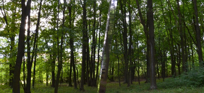 nakloněný obelisk