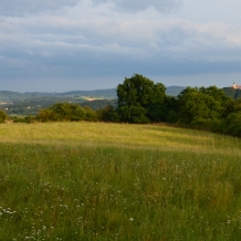 Foto Šárka Boušová