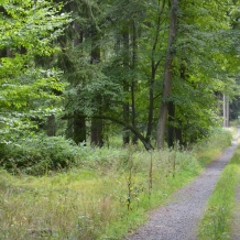 Foto Šárka Boušová
