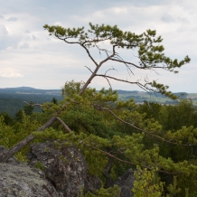 Foto Šárka Boušová
