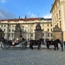 Svatojánské slavnosti Navalis 2023 - Praha.