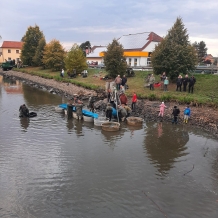 Výlov Špitálského rybníka v Nepomuku 14.10.2023