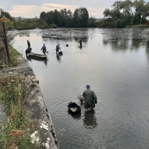 Výlov Špitálského rybníka v Nepomuku 14.10.2023