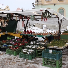 Ohlédnutí za první adventní nedělí v Nepomuku 3.12.2023