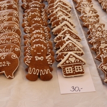 Ohlédnutí za první adventní nedělí v Nepomuku 3.12.2023