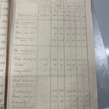 statistika z roku 1910