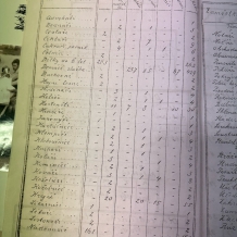 statistika z roku 1910