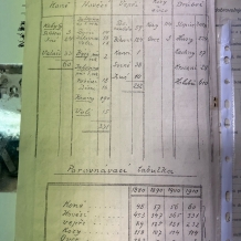 statistika z roku 1910