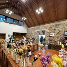 Výstava kosatců a okrasných česneků