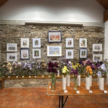 Výstava kosatců a okrasných česneků