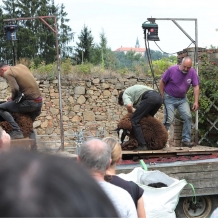 Pivní a Ovčácké slavnosti 2024