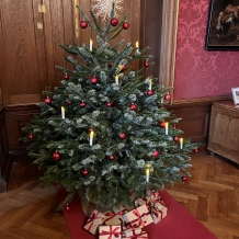 Advent na rakouských zámcích – Eckartsau a Schönbrunn 30.11.2024