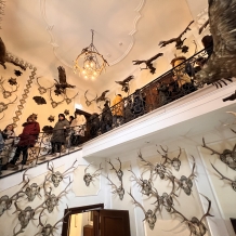 Advent na rakouských zámcích – Eckartsau a Schönbrunn 30.11.2024