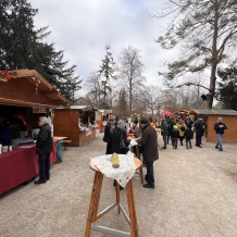 Advent na rakouských zámcích – Eckartsau a Schönbrunn 30.11.2024