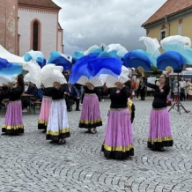 Nepomucká pouť - Foto Martin Myslivec a archiv města Nepomuk