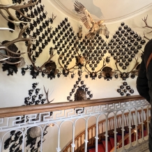 Ohlédnutí za zájezdem - Císařské město Bad Ischl a Gmunden