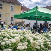Svatojakubskou pouť obohatil sbor Canto nepomucenum