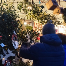 Adventní trhy a rozsvícení vánočního stromu v Nepomuku 2026