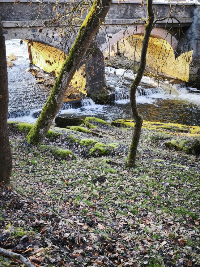autor foto Šárka Boušová