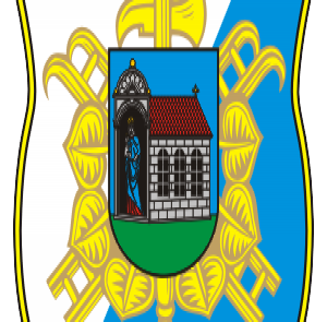 Dobrovolní hasiči v Nepomuku bilancovali