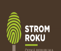 Anketa Strom roku
