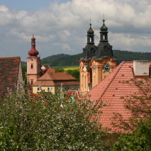 Nepomucké kostely