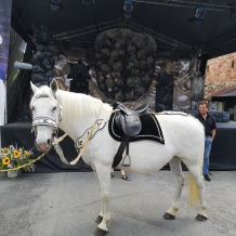 2022 Libuše
